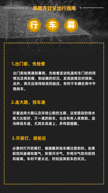 暴雨洪灾避险互救防护指南行车篇预览效果