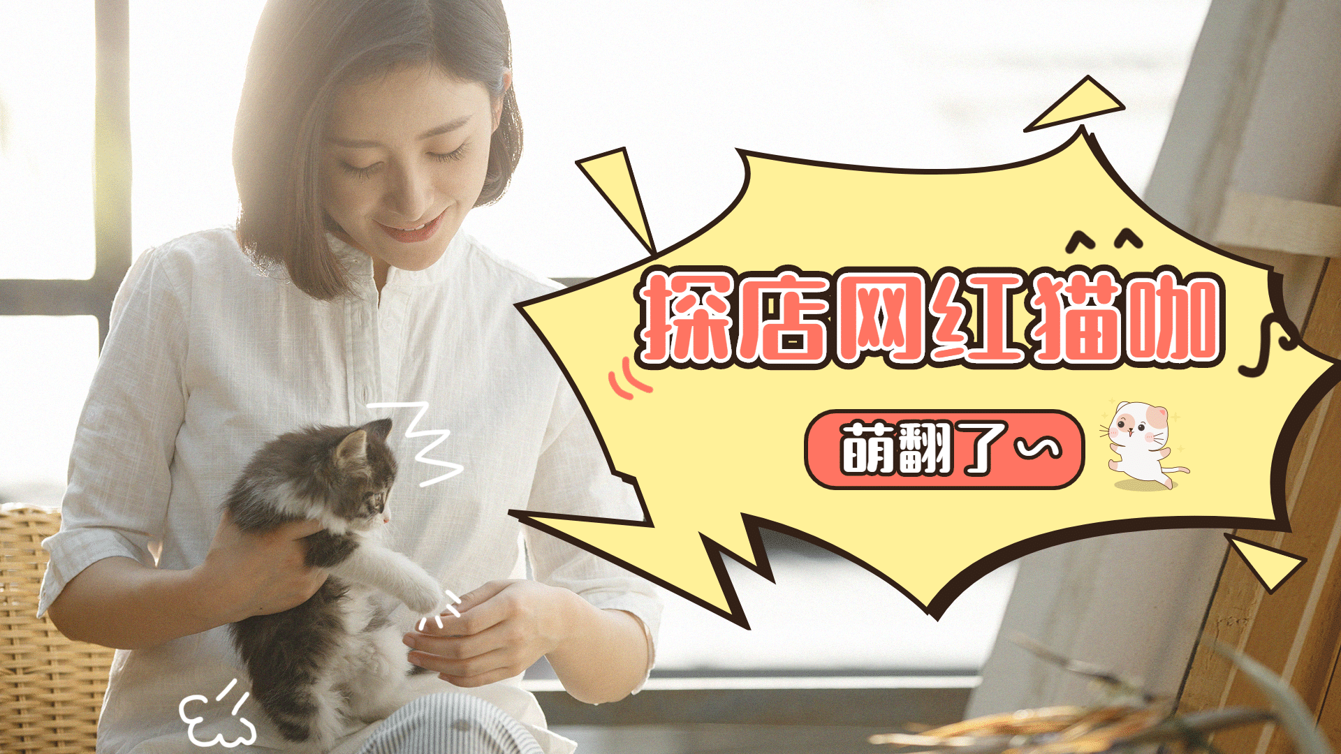 宠物猫萌宠简约实景横版视频封面