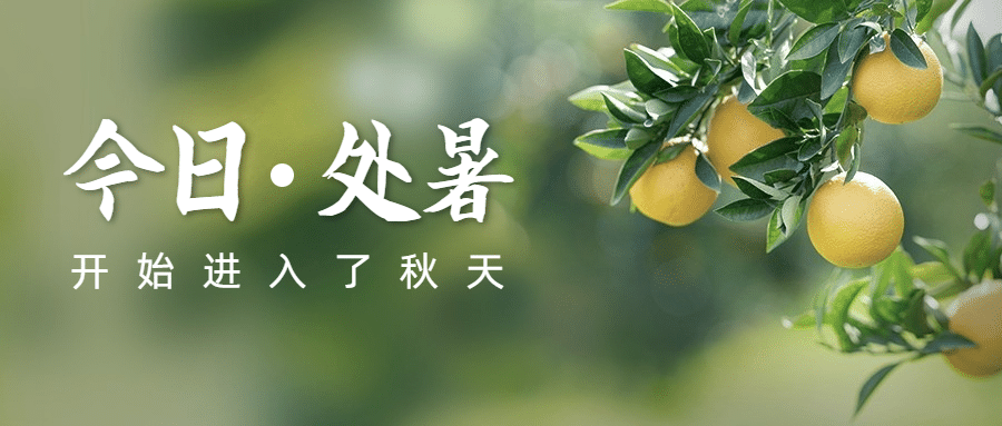 处暑节气祝福秋天实景公众号首图预览效果