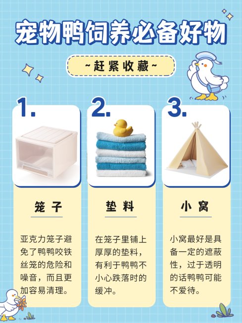 宠物萌宠科普好物小红书封面配图预览效果