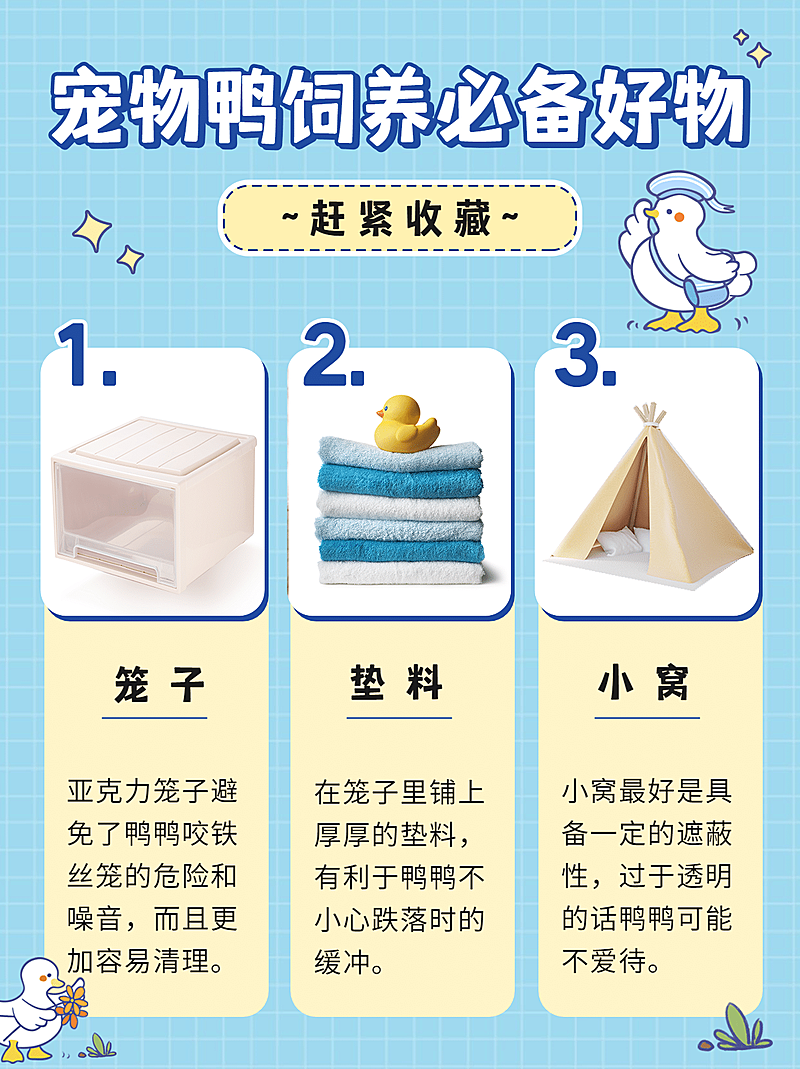 宠物萌宠科普好物小红书封面配图