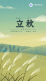 模板缩略图