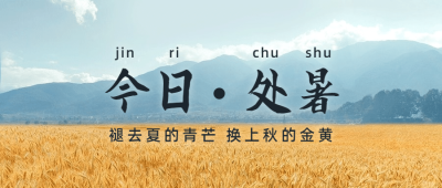 处暑节气秋天稻田农耕公众号首图