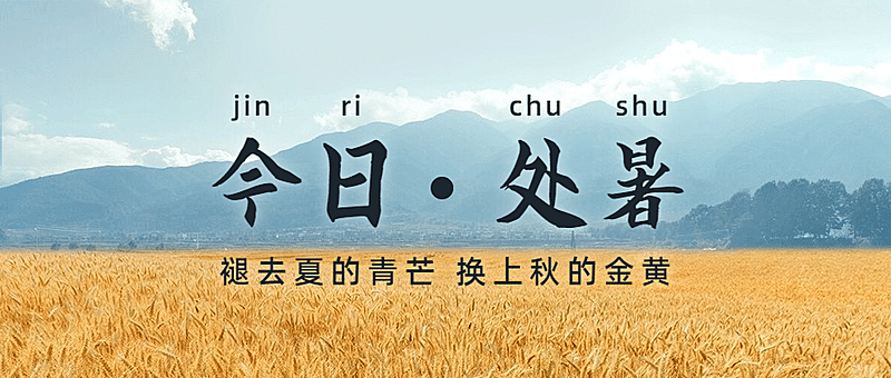 处暑节气秋天稻田农耕公众号首图