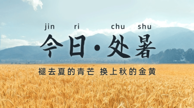 处暑节气秋天稻田农耕横版海报