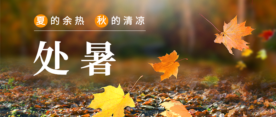 处暑节气祝福秋天实景公众号首图预览效果