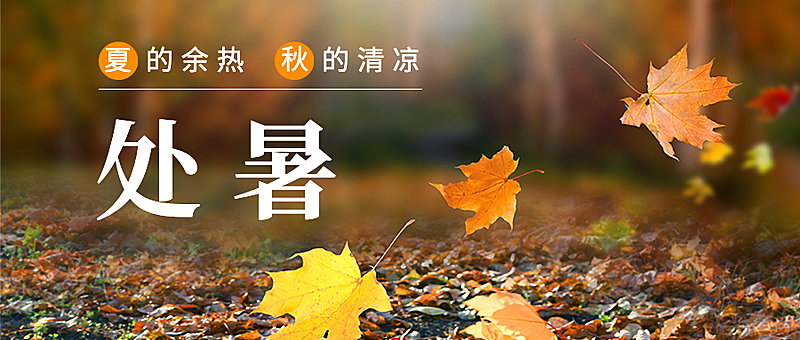 处暑节气祝福秋天实景公众号首图