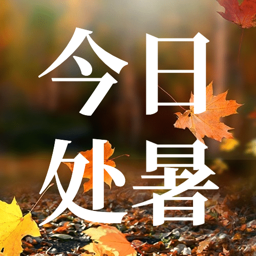 处暑节气祝福秋天实景公众号次图预览效果