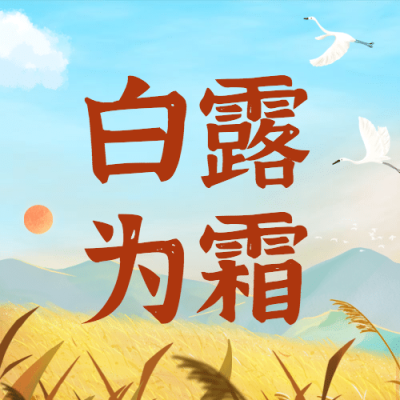 白露节气祝福白鹭鸟手绘公众号次图