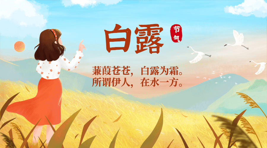 白露节气祝福白鹭鸟手绘横版海报预览效果