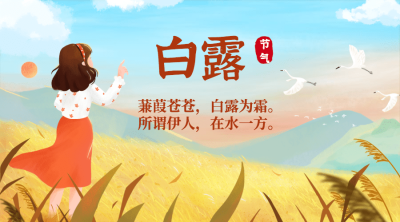 白露节气祝福白鹭鸟手绘横版海报
