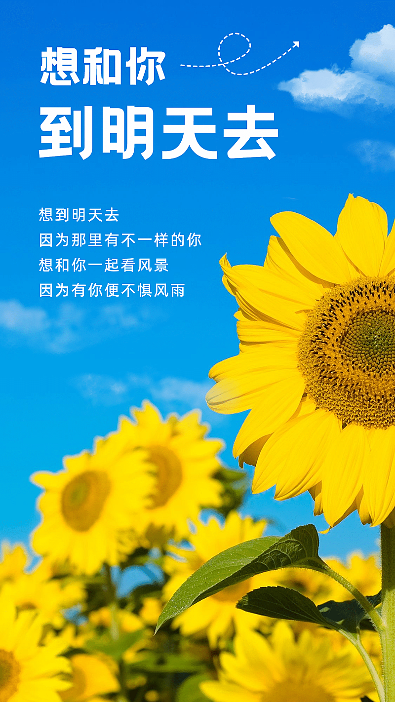 SP实景蓝天向日葵情感语录