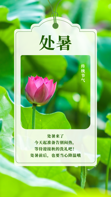 SP处暑节气祝福荷花荷叶预览效果