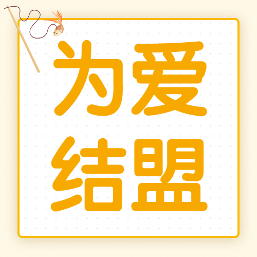 简约大字公众号次图预览效果
