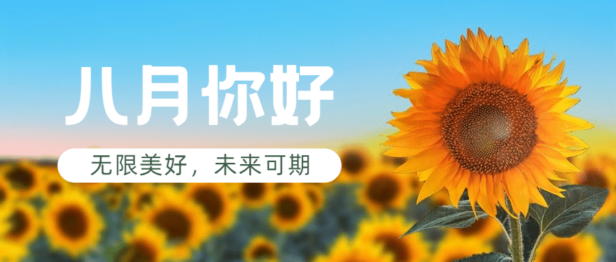 通用8月你好祝福清新公众号首图预览效果
