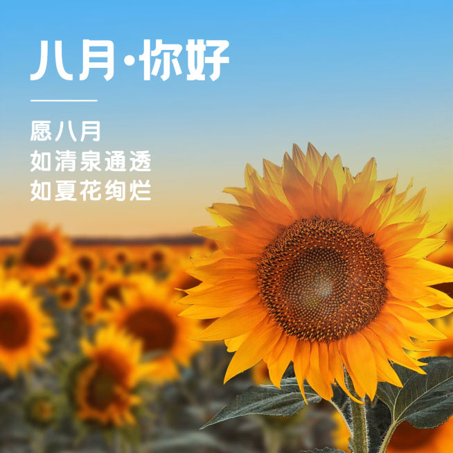 通用8月你好祝福清新方形海报预览效果