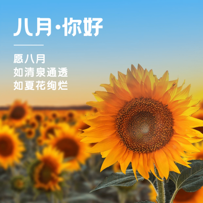 通用8月你好祝福清新方形海报