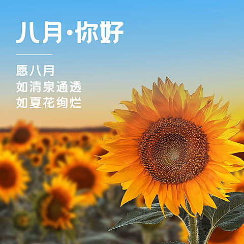 通用8月你好祝福清新方形海报