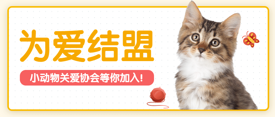 小动物关爱协会流浪猫狗公众号首图预览效果