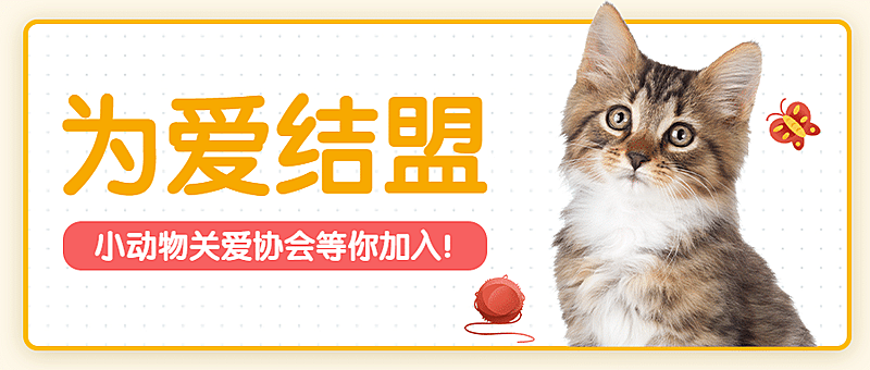 小动物关爱协会流浪猫狗公众号首图