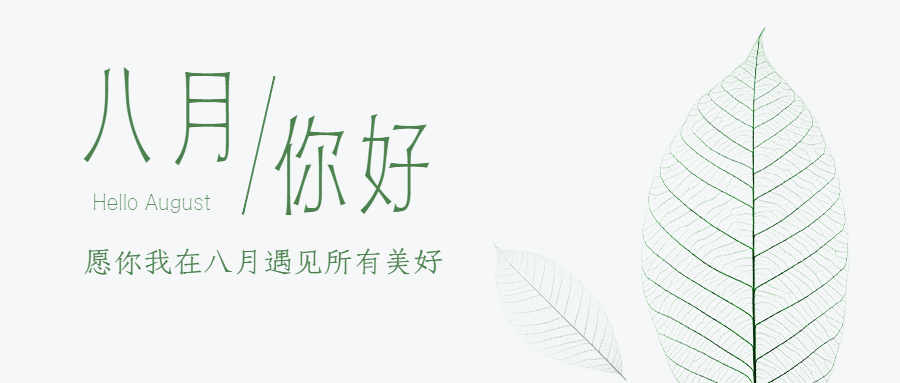 通用8月你好祝福清新公众号首图预览效果