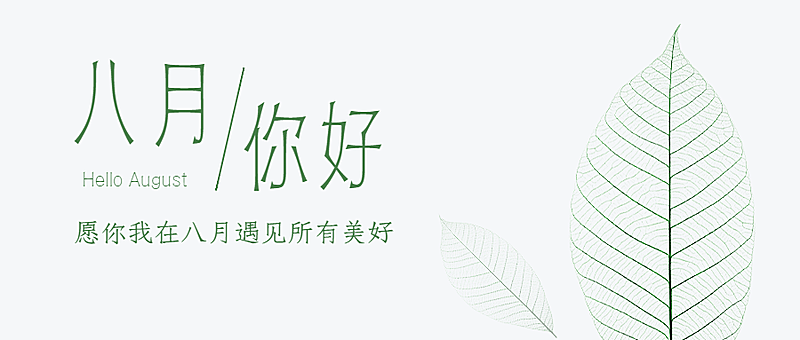 通用8月你好祝福清新公众号首图