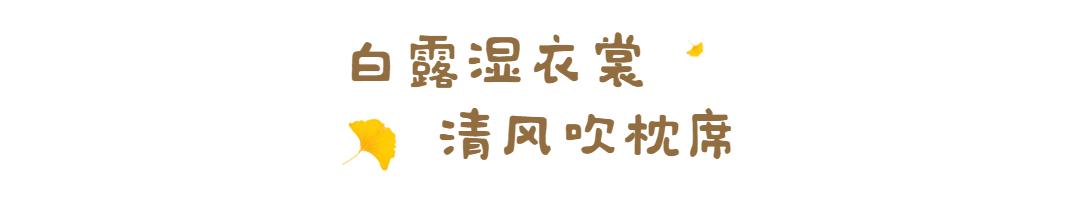 白露节气GIF动图文章标题预览效果