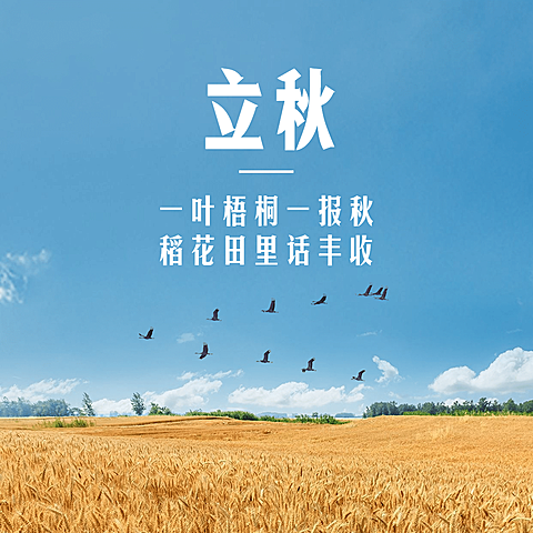立秋节气祝福实景稻田方形海报