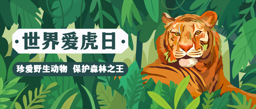 世界爱虎日动物保护宣传手绘插画公众号首图