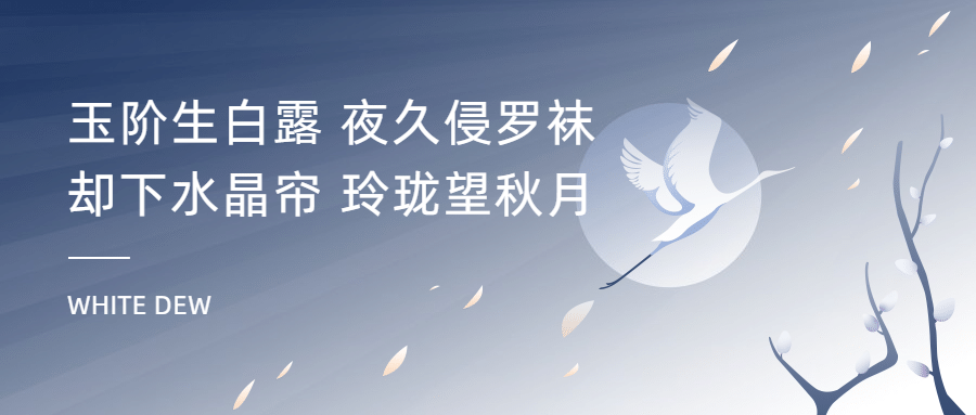 白露节气祝福手绘简约公众号首图预览效果
