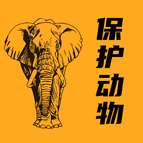 世界大象日动物保护手绘公众号次图预览效果