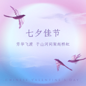 模板缩略图