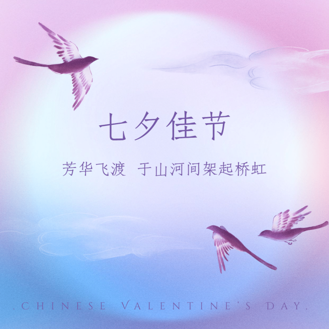 七夕情人节祝福简约创意方形海报预览效果