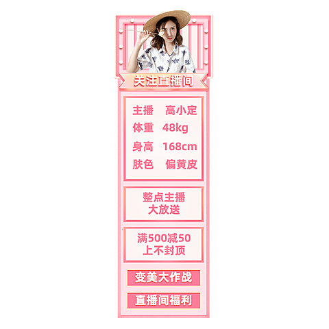 粉色主播信息直播间贴片