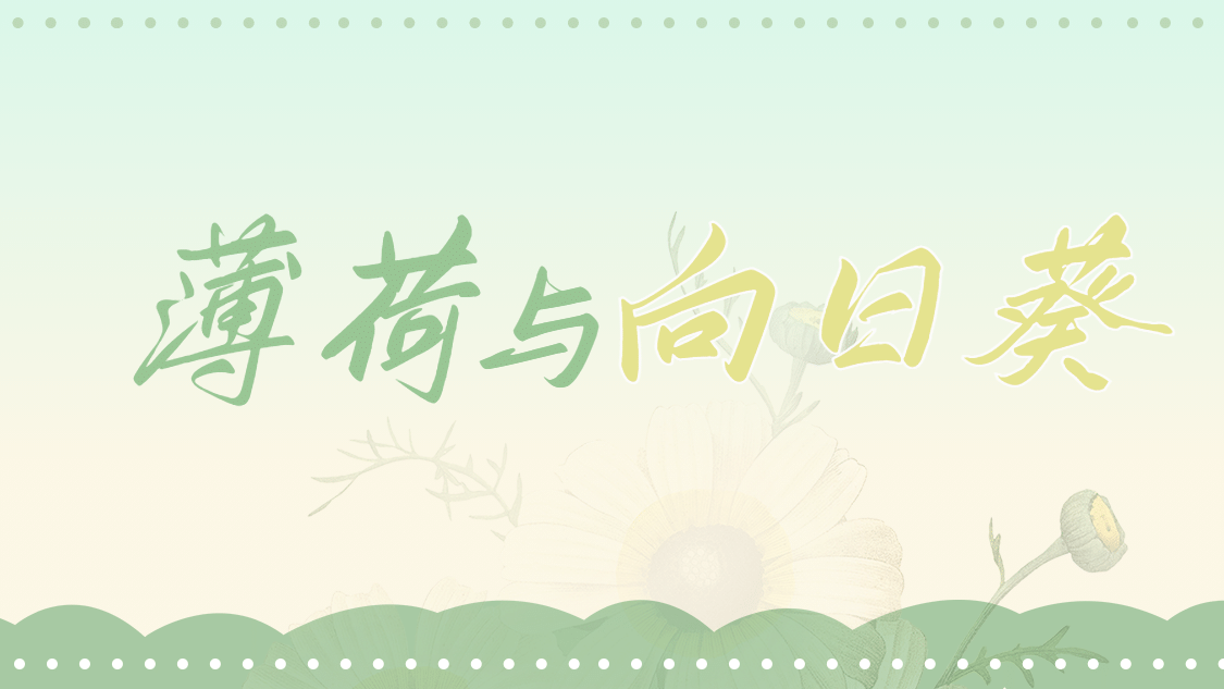 简约清新通用抖音背景图封面预览效果