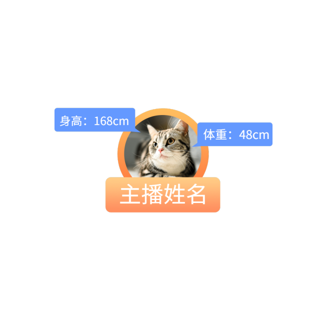 通用主播信息直播间贴片预览效果