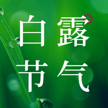 白露节气祝福实景露珠公众号次图