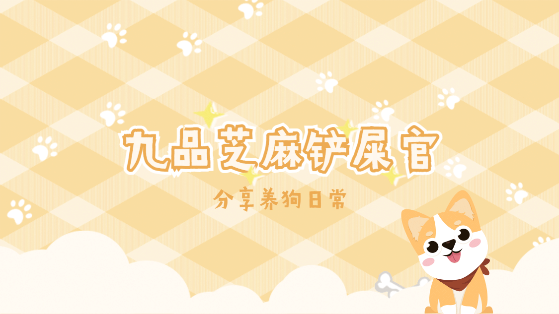 可爱宠物账号介绍抖音背景图封面预览效果