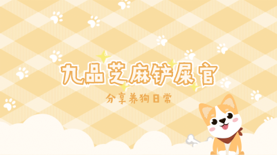 可爱宠物账号介绍抖音背景图封面