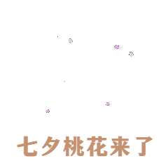 七夕节日鲜花GIF动态表情包预览效果