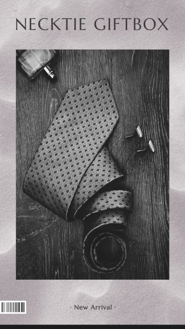 Black Filter Fashion Style Necktie Giftbox Ecommerce Story预览效果