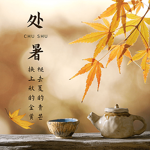 处暑节气祝福问候秋季实景方形海报