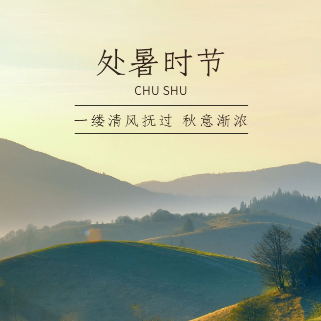 处暑节气祝福问候秋季实景方形海报预览效果