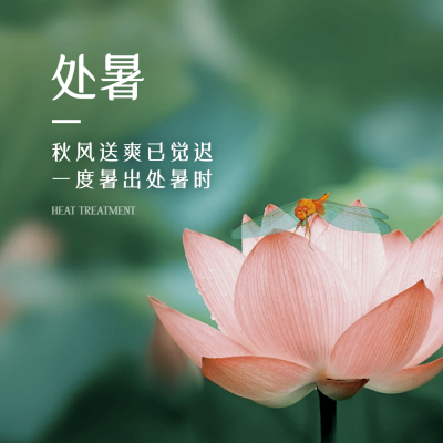 处暑节气祝福问候秋季莲花方形海报