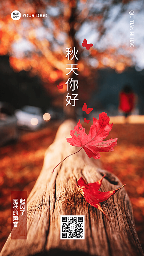 实景落叶枫叶秋季问候秋天你好