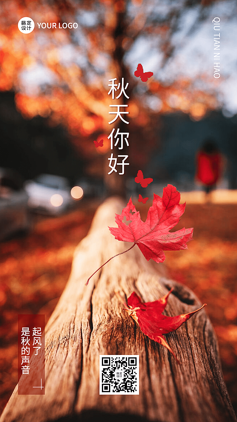 实景落叶枫叶秋季问候秋天你好