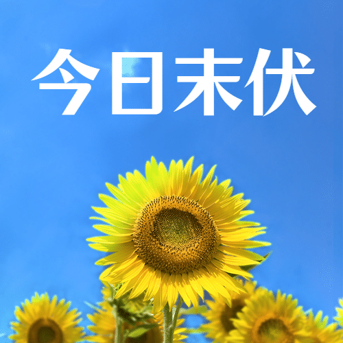 末伏三伏夏季实景公众号次图预览效果