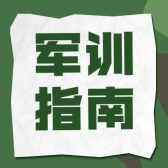 模板缩略图