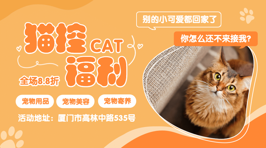 猫控福利横版海报预览效果