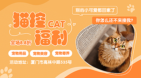 猫控福利横版海报
